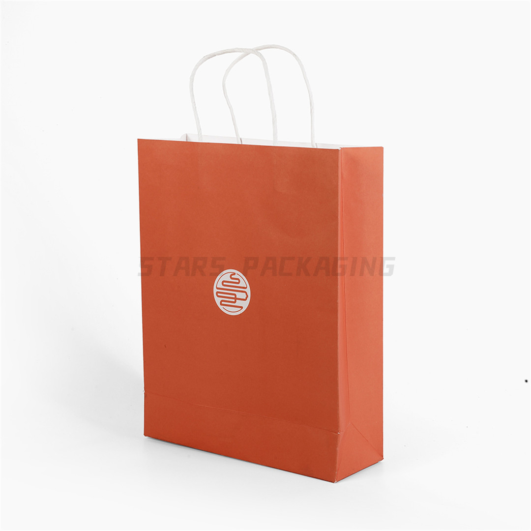 Custom Printed Kraft Paper Bag with Twisted Paper Handle (2)