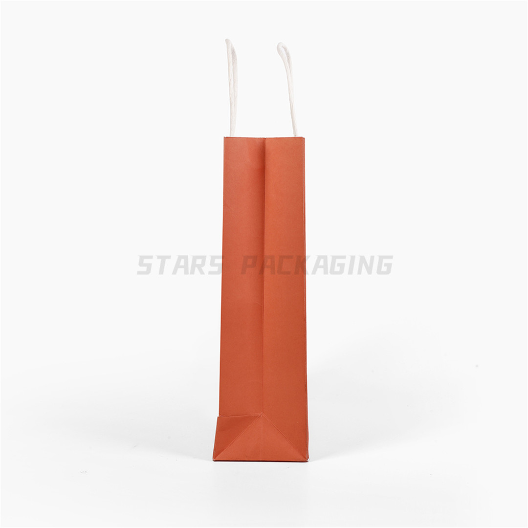 Custom Printed Kraft Paper Bag with Twisted Paper Handle (3)